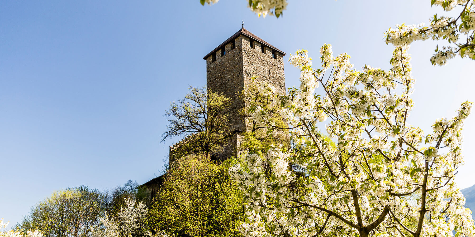 Settimana di primavera