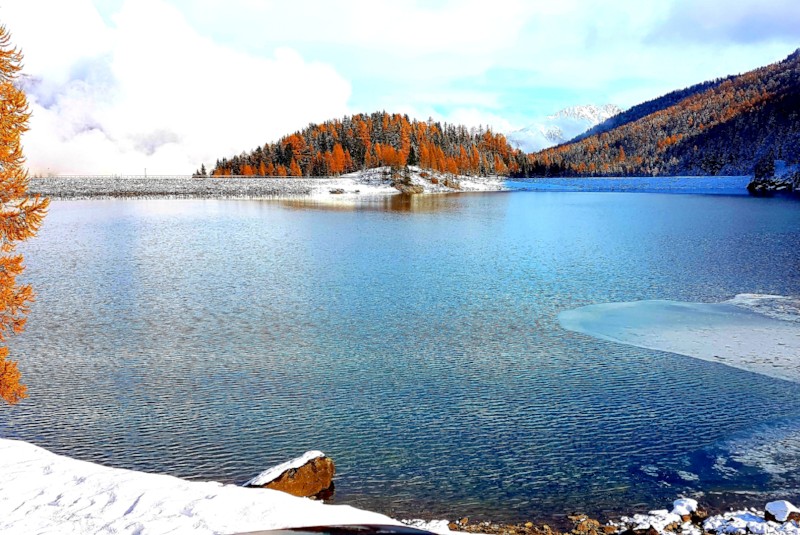 Hauswanderung mal anders...