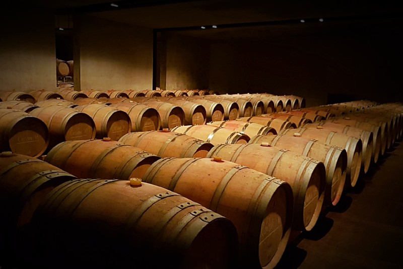 Kellereibesichtigung bei Manincor