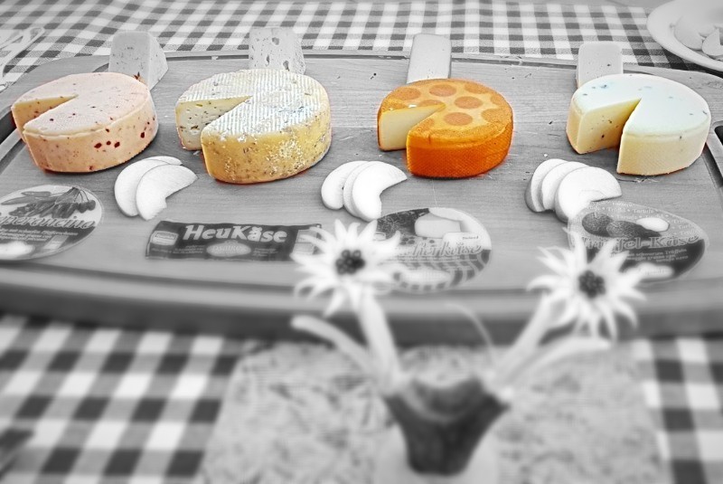 Käseverkostung mit Biobauer Walter Moosmair