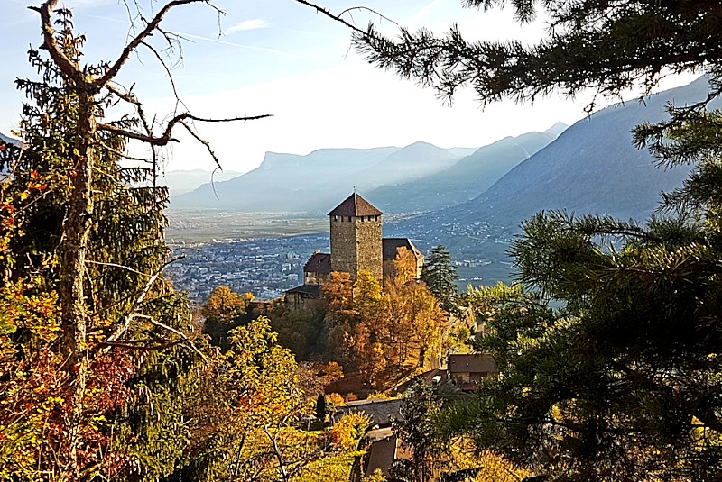 Kastanien, neuer Wein und Sonne pur...