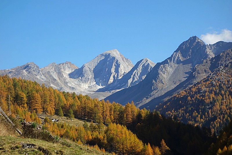 Kastanien, neuer Wein und Sonne pur...