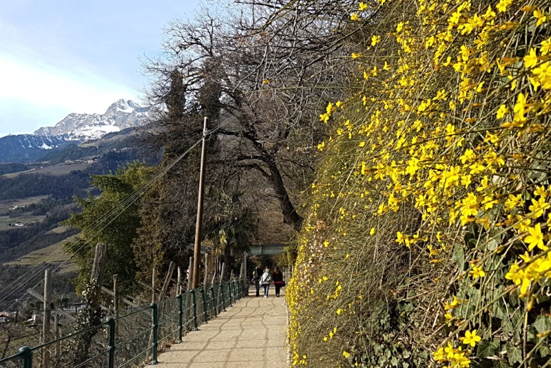 Kellereibesichtigung bei Manincor