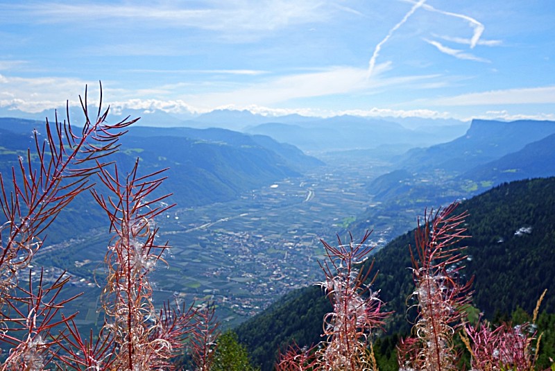 Norbert - unser Mann "für alle Fälle"